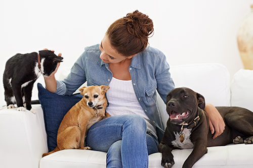 Showcase your Pet Sitting business to local Ottawa customers.