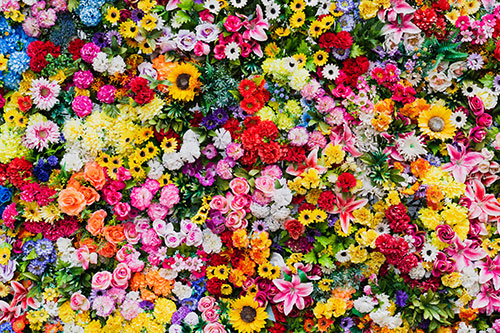 Showcase your Flower Craft services to local Ottawa area consumers.