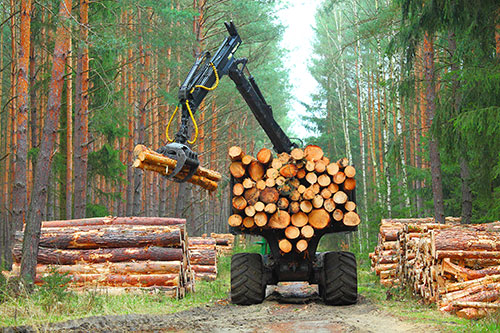Showcase your forestry construction business to Ottawa and surrounding area customers.