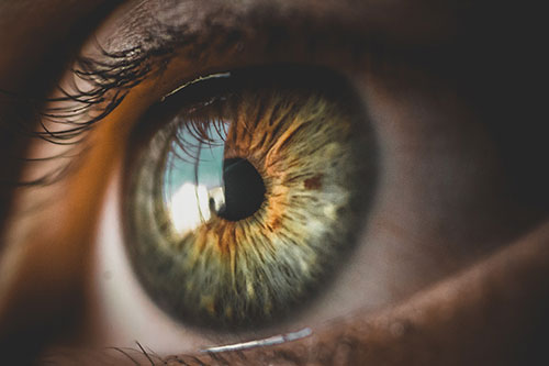 Showcase your Eye Care services local Ottawa area customers.