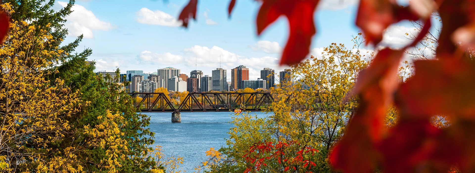 Connect with consumers of your Ottawa business products and services.